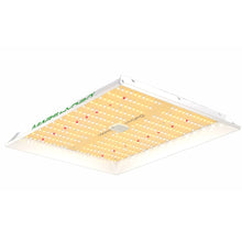 Mars Hydro TS1000 LED Grow Lamp